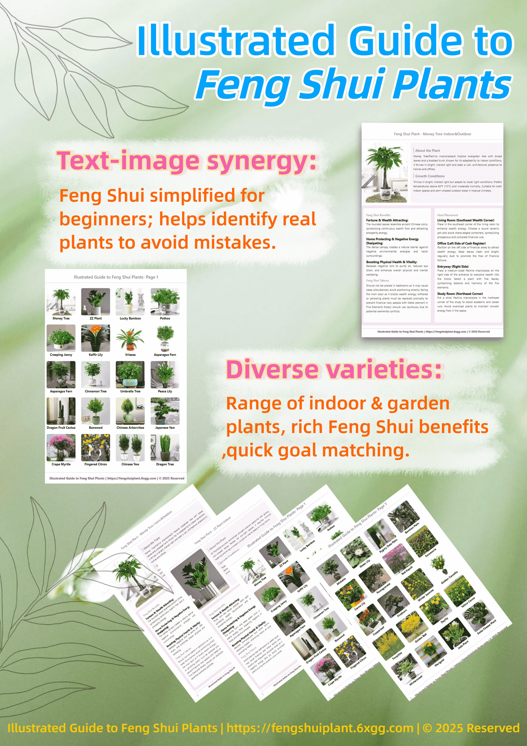 Illustrated Feng Shui Plants Guide Ebook Cover